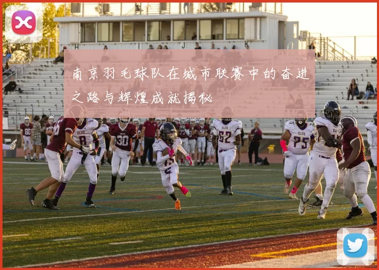 南京羽毛球队在城市联赛中的奋进之路与辉煌成就揭秘