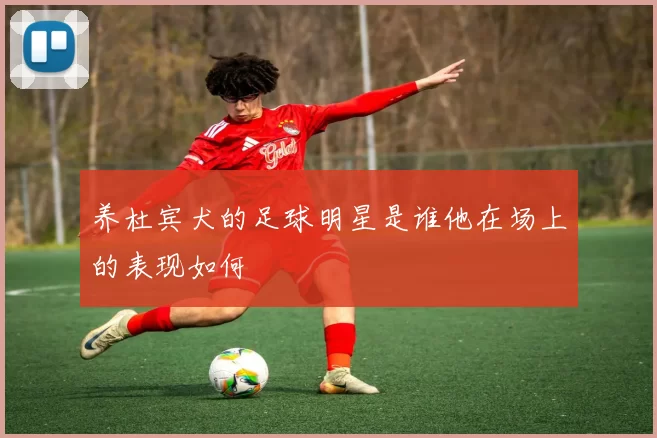 养杜宾犬的足球明星是谁他在场上的表现如何
