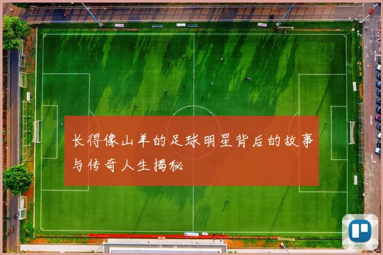 长得像山羊的足球明星背后的故事与传奇人生揭秘