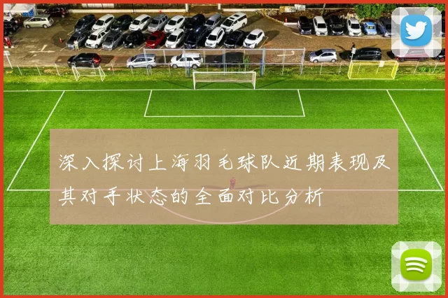 深入探讨上海羽毛球队近期表现及其对手状态的全面对比分析