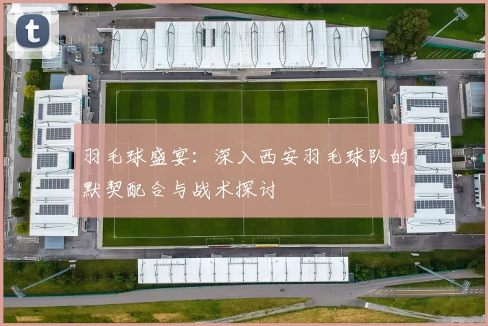 羽毛球盛宴：深入西安羽毛球队的默契配合与战术探讨