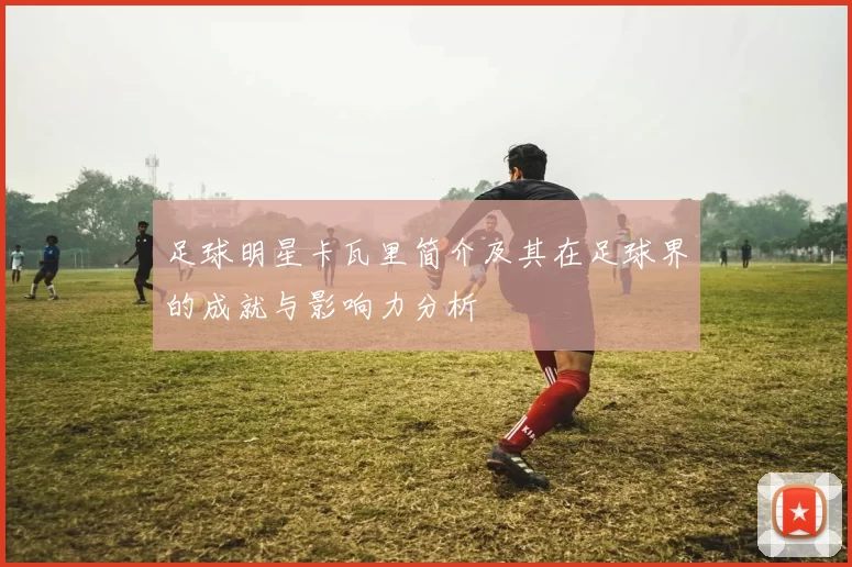 足球明星卡瓦里简介及其在足球界的成就与影响力分析