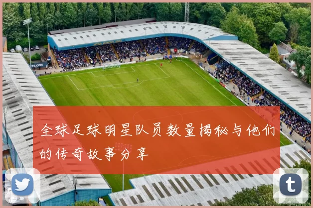 全球足球明星队员数量揭秘与他们的传奇故事分享