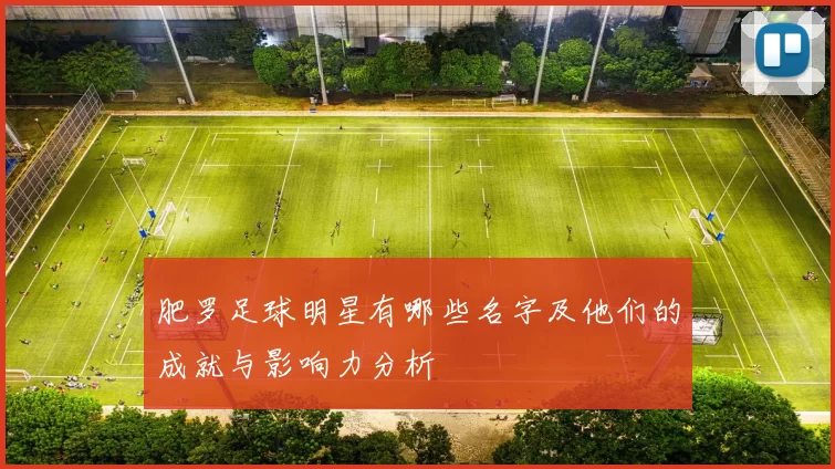 肥罗足球明星有哪些名字及他们的成就与影响力分析