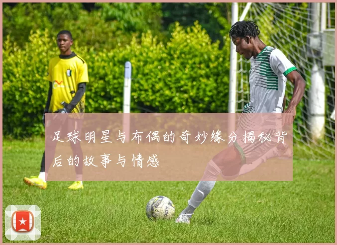 足球明星与布偶的奇妙缘分揭秘背后的故事与情感