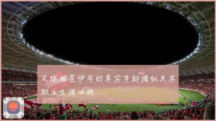 足球明星伊布的真实年龄揭秘及其职业生涯回顾