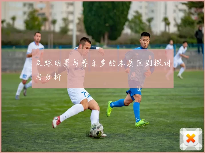 足球明星与养乐多的本质区别探讨与分析