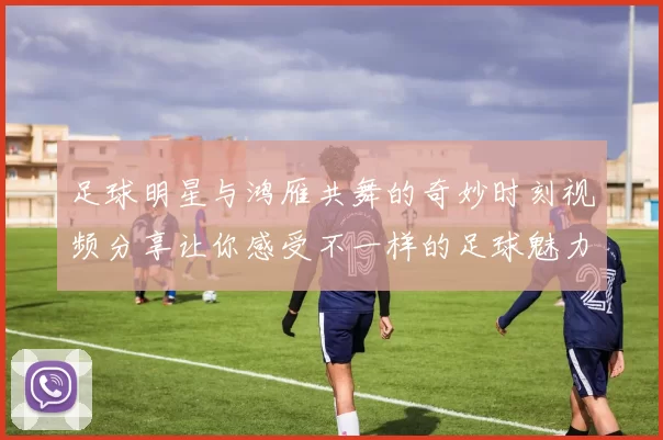 足球明星与鸿雁共舞的奇妙时刻视频分享让你感受不一样的足球魅力