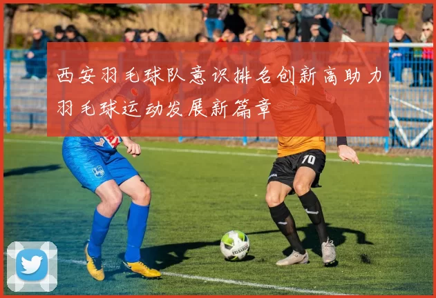 西安羽毛球队意识排名创新高助力羽毛球运动发展新篇章