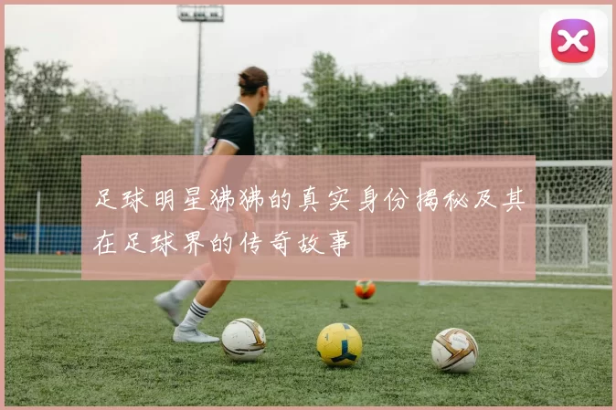 足球明星狒狒的真实身份揭秘及其在足球界的传奇故事
